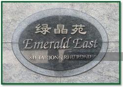 Emerald East (D15), Apartment #138645362